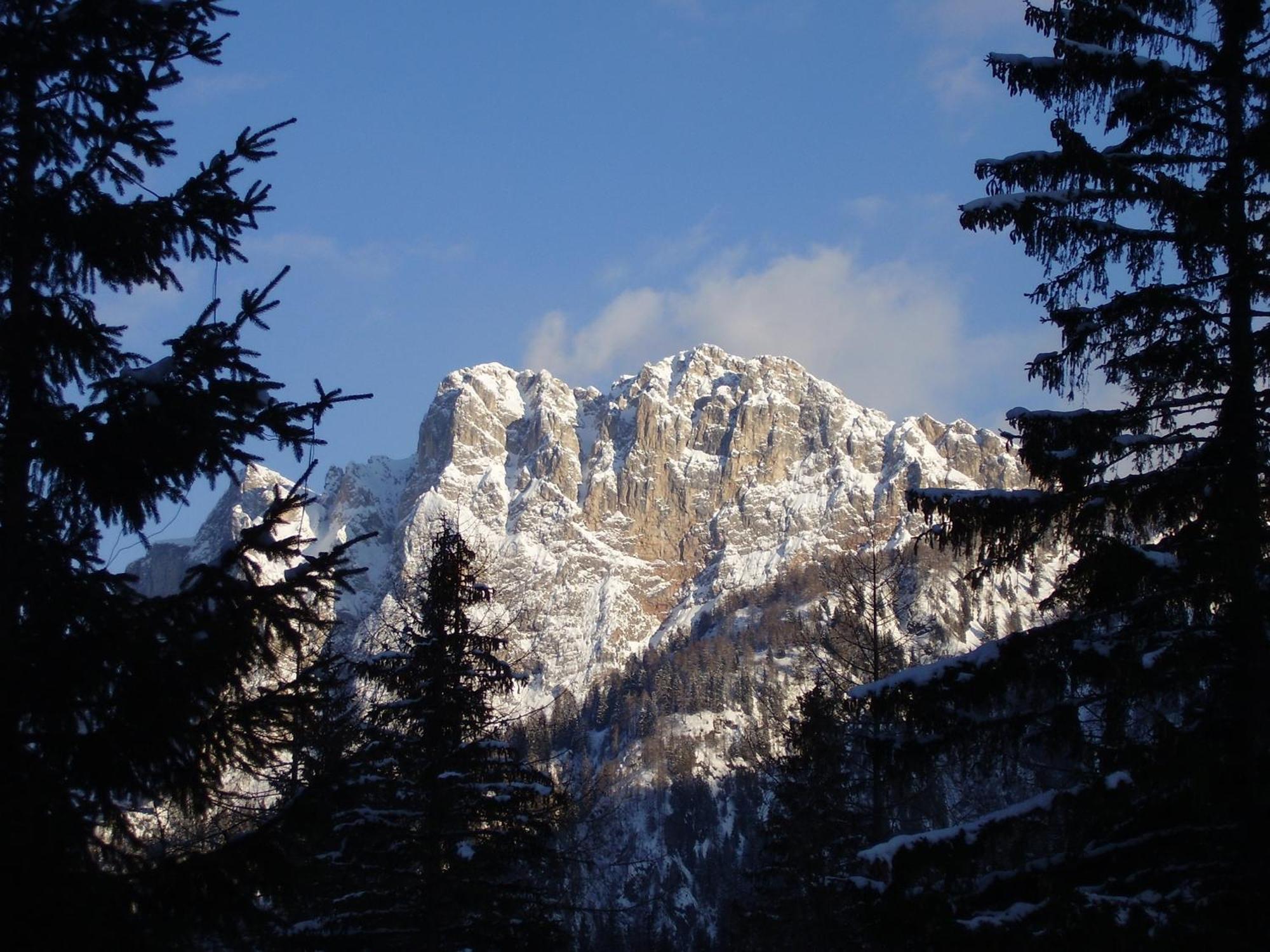 Residence Regina Delle Dolomiti ロッカ・ピエートレ エクステリア 写真